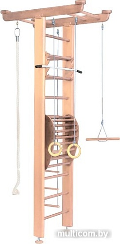 Детский спортивный комплекс Карусель Д241 с тренажером для спины 2Д.04.01 (светлый орех)