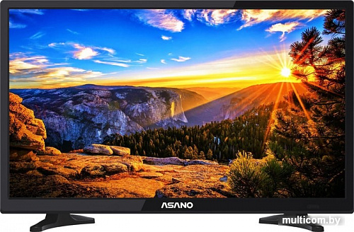 Телевизор ASANO 20LH1010T