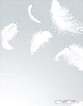 Фотообои Citydecor Перышки с защитным покрытием 200x254