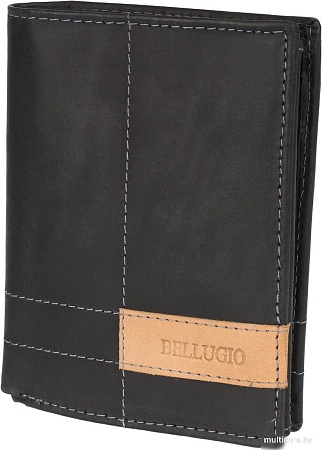 Кошелек Bellugio ZM-116R-123 (черный)