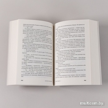 Книга издательства Альпина Паблишер. Центр тяжести (Поляринов А.)