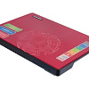 Подставка для ноутбука STM electronics IcePad IP5 (красный)