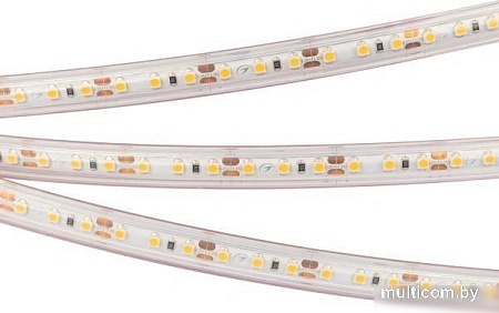 Светодиодная лента Arlight RTW-PS-A120-10mm 12V Warm2700 028547(2)