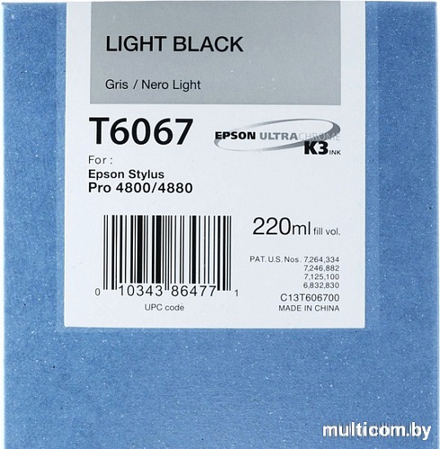 Картридж Epson C13T606700