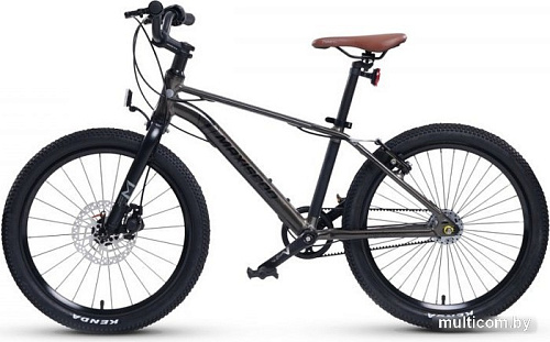 Детский велосипед Maxiscoo 7Bike 20 M700 2024 (графит)