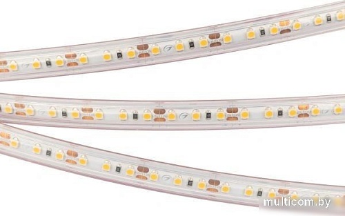 Светодиодная лента Arlight RTW-PS-A120-10mm 12V Warm2700 028547(2)