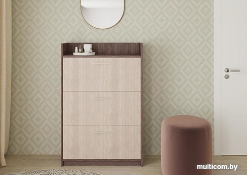 Тумба для обуви Артём-Мебель СН-100.09 (ясень анкор светлый/ясень анкор темный)