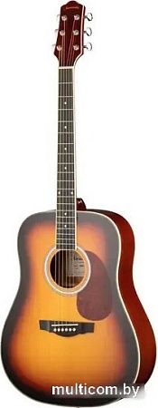 Акустическая гитара Naranda DG220VS