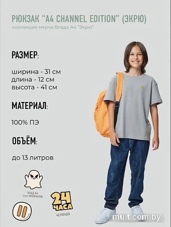 Школьный рюкзак Sled Влад А4 41x12x31 (оранжевый)