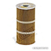 Hengst E212HD231