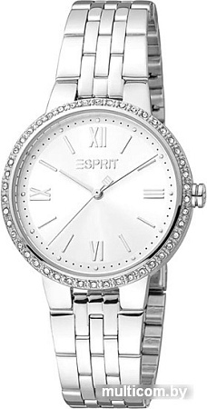 Наручные часы Esprit ES1L333M0045