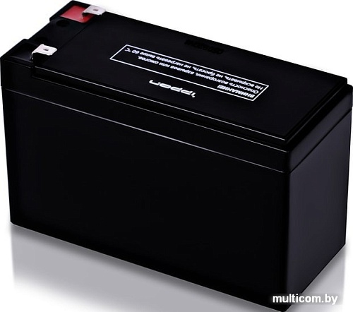 Аккумулятор для ИБП IPPON IPL12-9 (12В/9 А·ч)