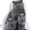Декоративная подушка Этель Cat family 10864246