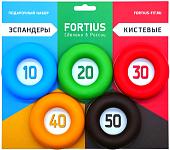 Набор эспандеров Fortius H180701-1020304050SET (5 шт)