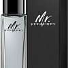 Burberry Mr. Burberry EdT (30 мл)
