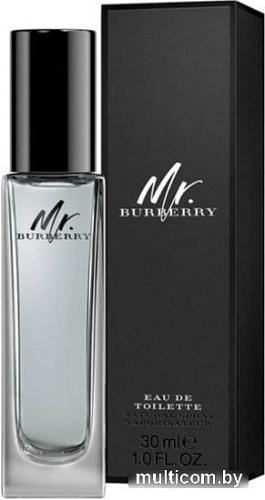 Burberry Mr. Burberry EdT (30 мл)