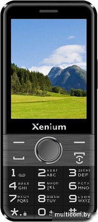 Телефон Xenium X800 (черный/серый)