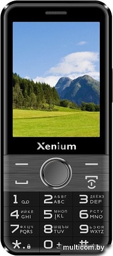 Телефон Xenium X800 (черный/серый)