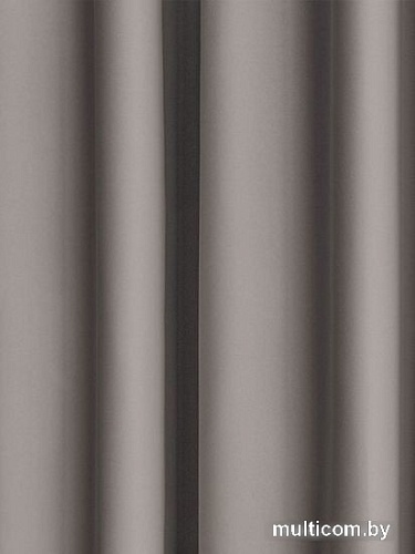 Комплект штор Pasionaria Блэквуд 400x250 (капучино)