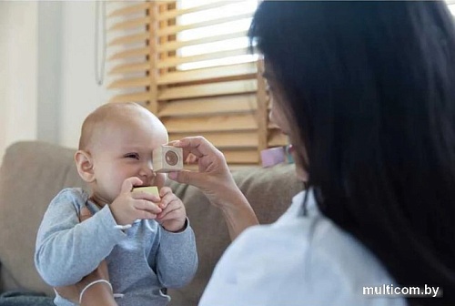 Кубики Plan Toys Блоки Прикоснись и угадай 5257