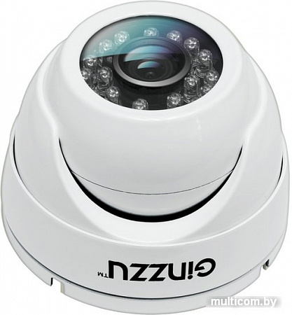 CCTV-камера Ginzzu HAD-5301A