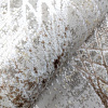 Ковер для жилой комнаты Safyun Liparis LP309-CREAM-BROWN (0.8x1.5)