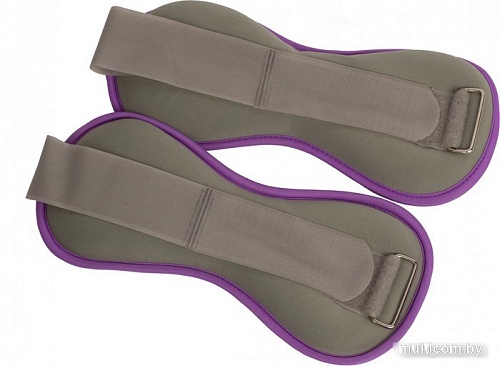 Комплект утяжелителей Ironmaster IR97843-1 2x2 кг