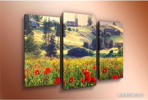 Модульная картина Arthata m-000344 120x80