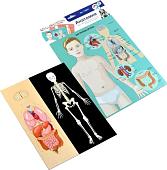 Развивающая игра Десятое королевство Анатомия 03820