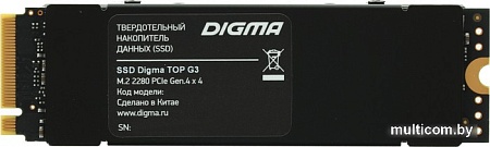 SSD Digma Top G3 1TB DGST4001TG33T