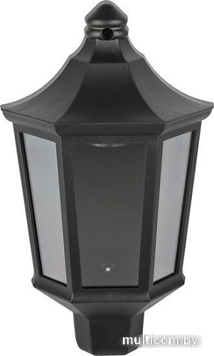 Уличный настенный светильник ЭРА НБУ 06-60-003 Ника Б0061159