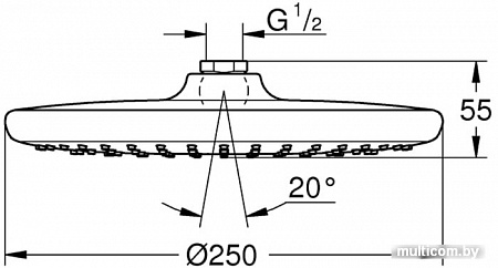 Верхний душ Grohe Tempesta 250 26666000