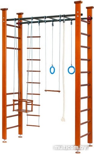 Детский спортивный комплекс Карусель 4Д.02.01 с рукоходом (орех)
