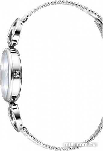 Наручные часы Pierre Cardin PC902752F01