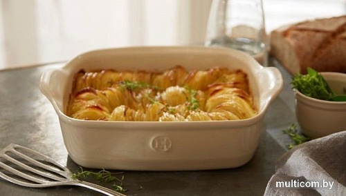 Форма для выпечки Emile Henry 799654