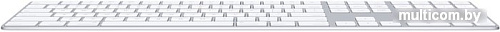 Клавиатура Apple Magic Keyboard с цифровой панелью MQ052RS/A
