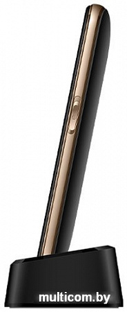 Мобильный телефон BQ-Mobile BQ-2301 Comfort (черный/золотистый)