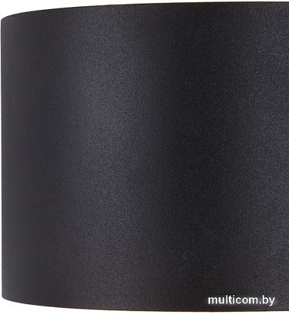 Уличный настенный светильник Maytoni Fulton O573WL-L6B