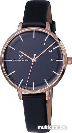 Наручные часы Daniel Klein DK12028-3