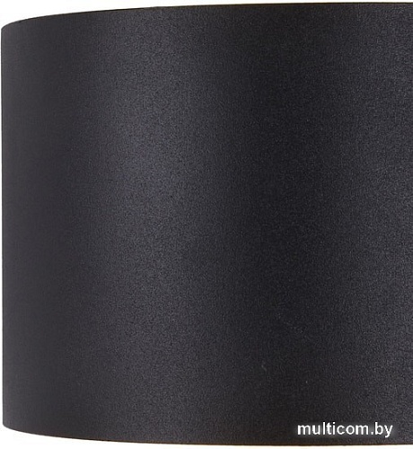 Уличный настенный светильник Maytoni Fulton O573WL-L6B