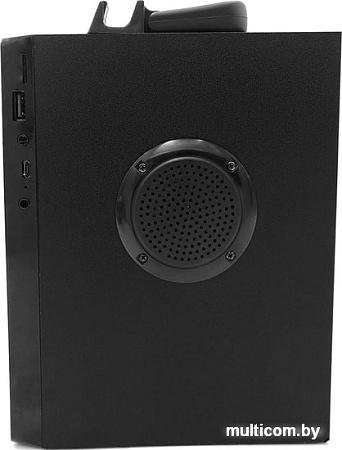 Беспроводная колонка Media-Tech MT3166