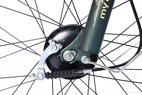 Электровелосипед MyWay Truck 1.0 500 24 (15, темно-зеленый)