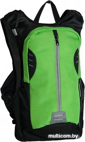 Рюкзак Paso 17-1608/R