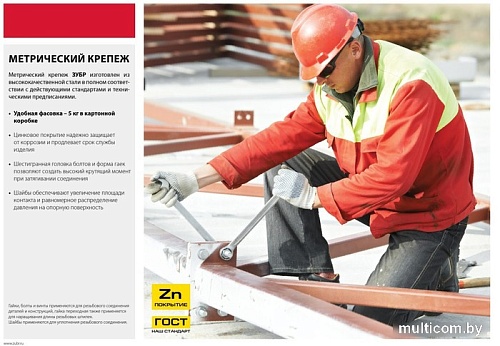 Шайба Зубр 303800-04