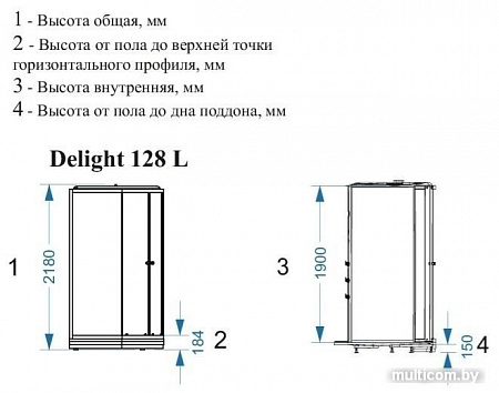 Душевая кабина Domani-Spa Delight 128 120x80 R с гидромассажем (черный/тонированное)