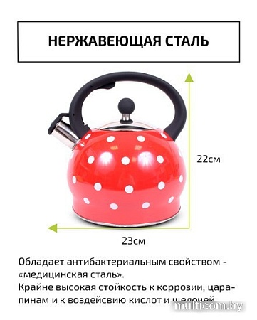 Чайник со свистком TimA WTK241C