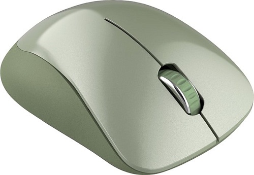 Мышь Canyon CNE-CMSW11SM