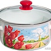 Кастрюля КМЗ Страна тюльпанов Экстра 42304-122/4.02