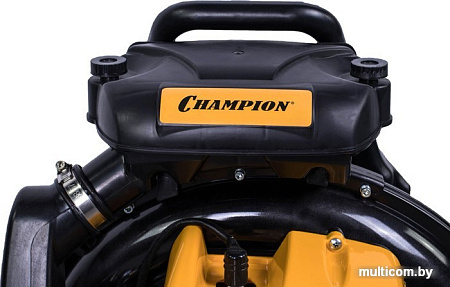 Champion GBR376
