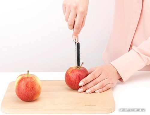 Кухонный нож Brabantia Profile 250101